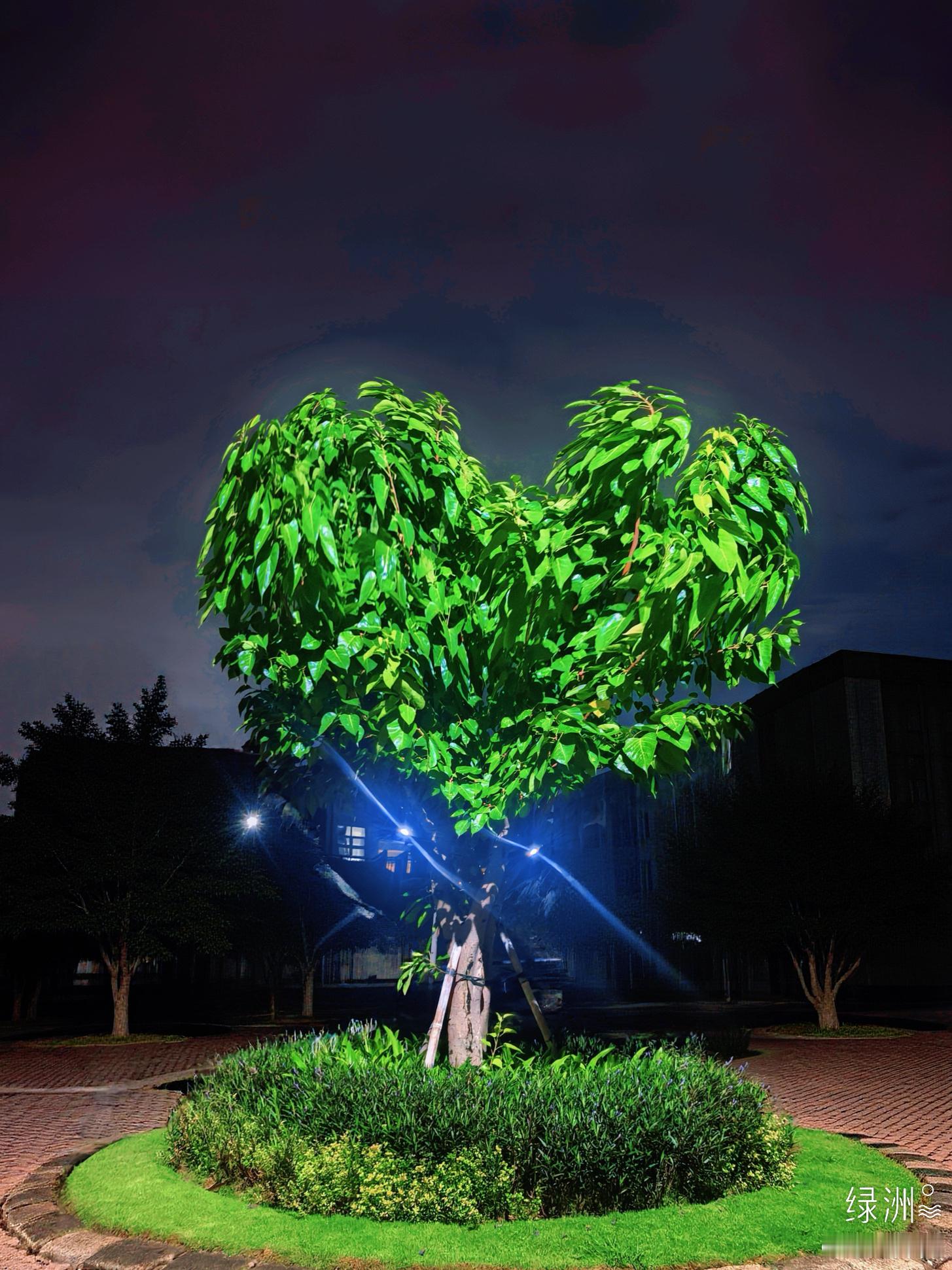 事了心拂 绿洲 印度尼西亚·雅加达