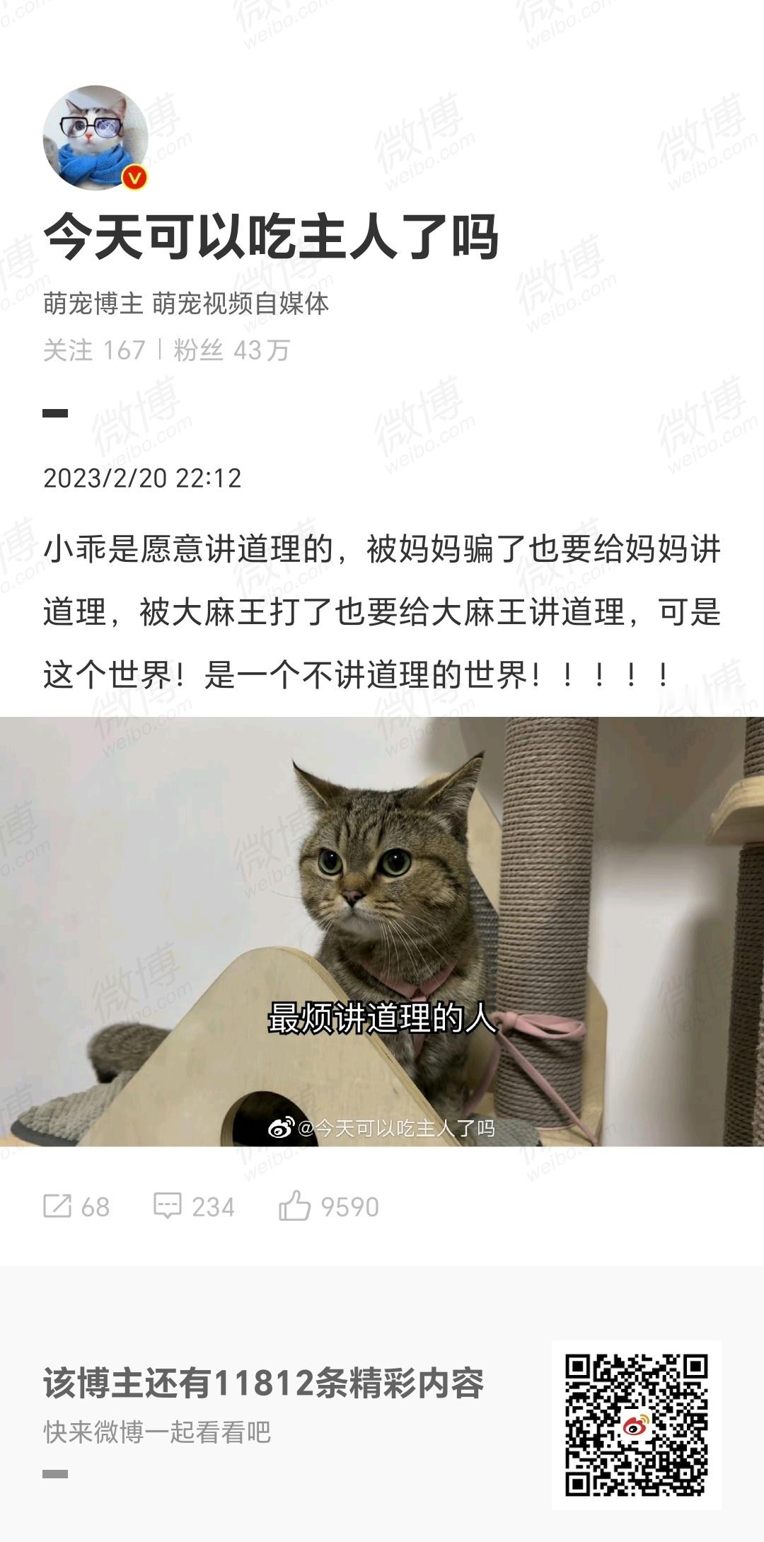 小猫小猫最有礼貌[超话] 大麻王时期今言今语 ​​​