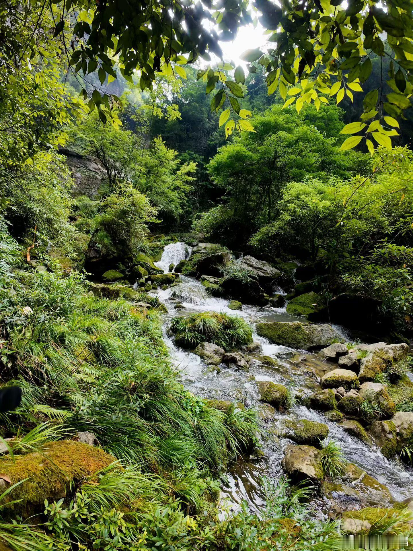 夏至遇上父亲节。父亲会为孩子遮挡夏日骄阳，也会带孩子寻找诗与远方。真正的夏天来了