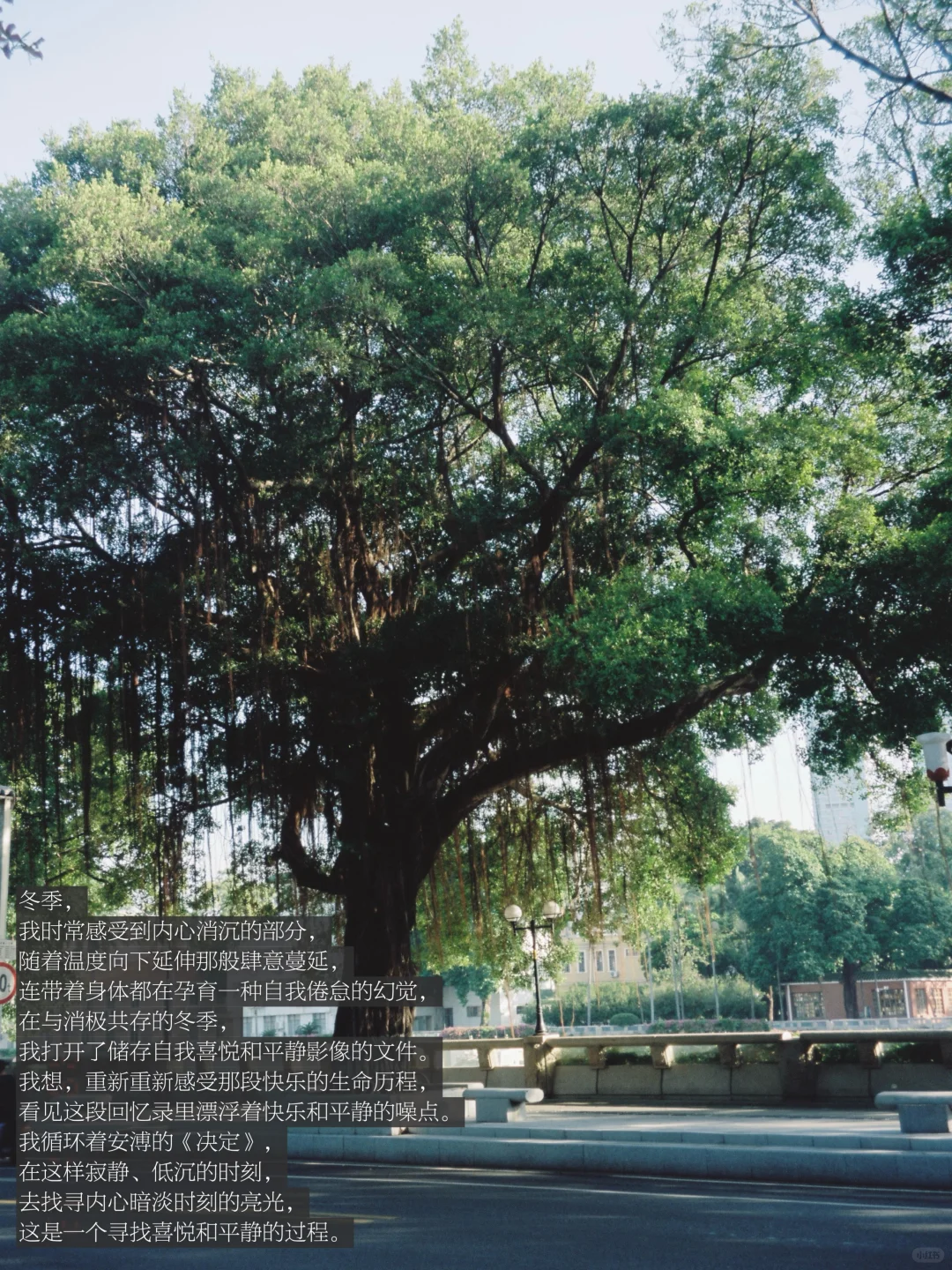 与消极共存的冬，我想靠近富有生命力的事物。