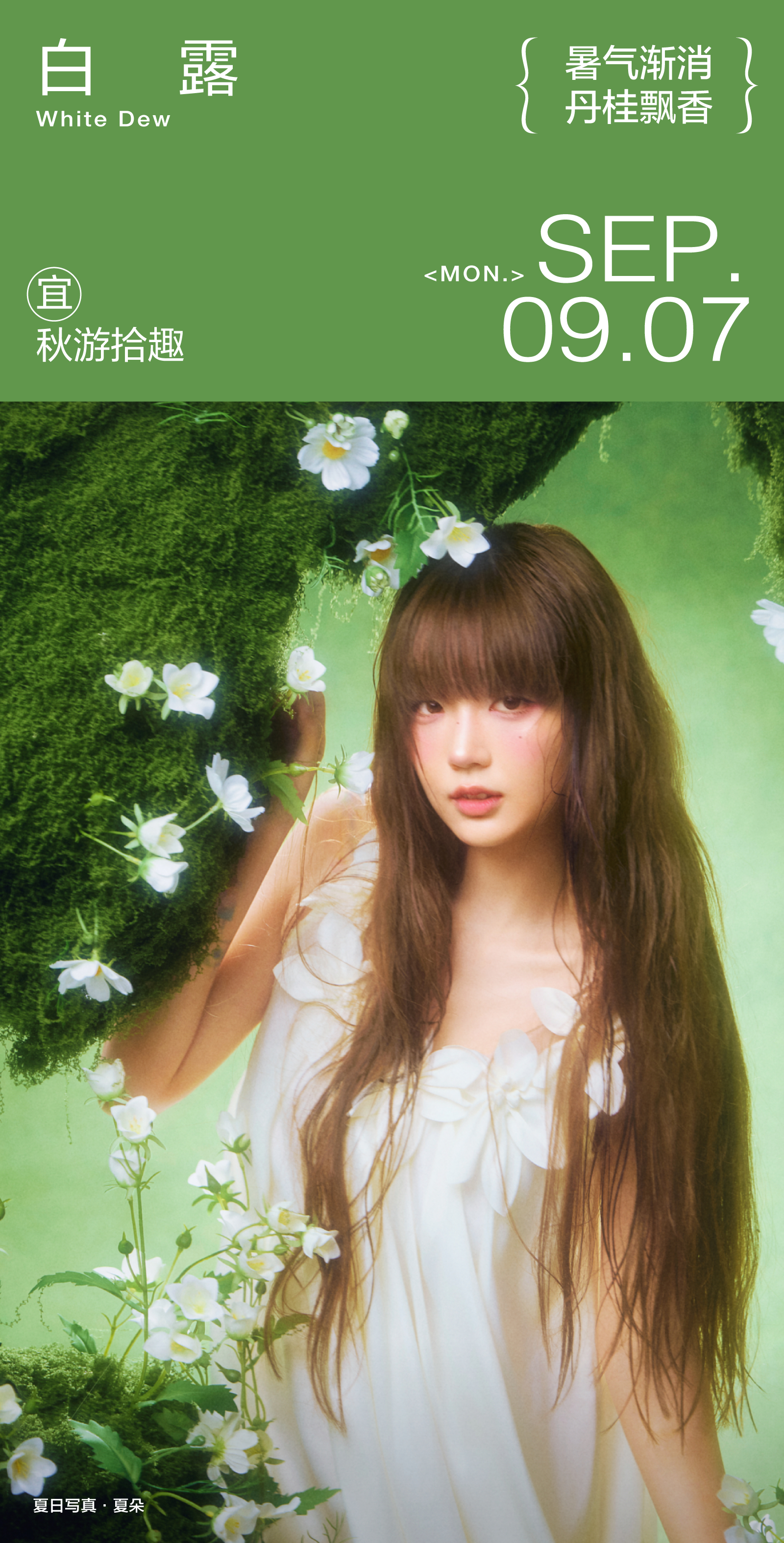 白露尚未干，去山野间走一走。拾一片落叶，藏一整个夏天。 ​​​