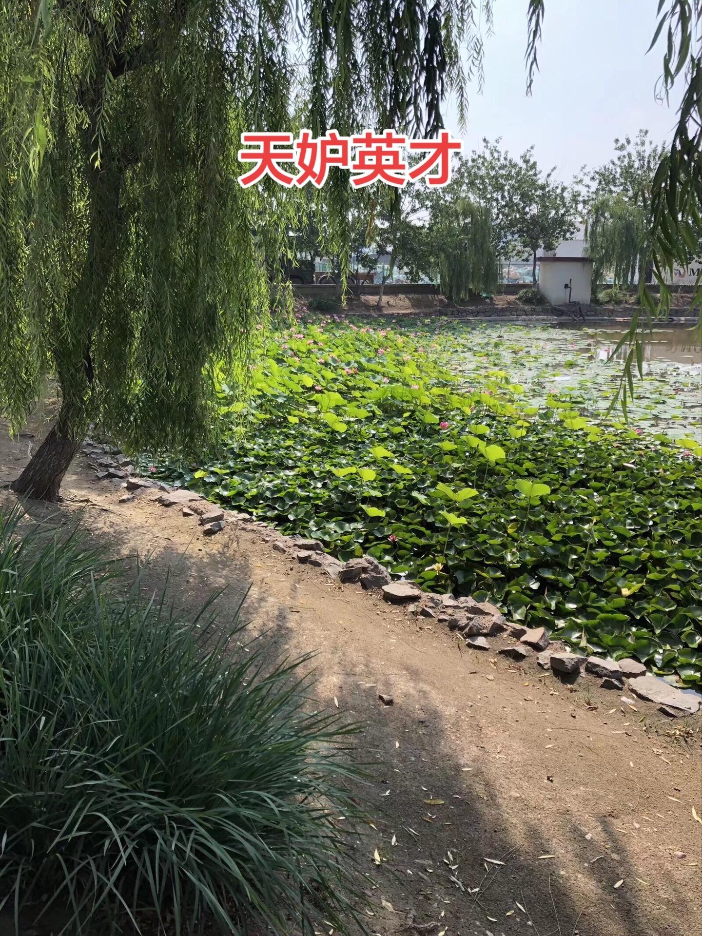 奇才贾谊 汉文帝时期，面对匈奴的日益猖獗，朝廷上下头疼的很，汉文帝也很...