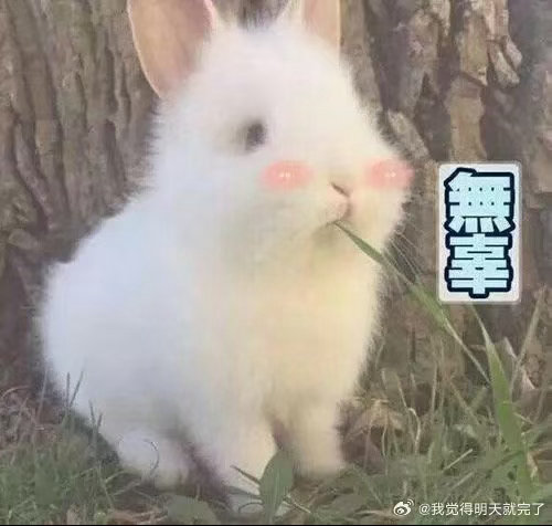 年轻人需要外耗红包的购物方式面对五花八门的促销活动，学会聪明消费才是关键。外耗红