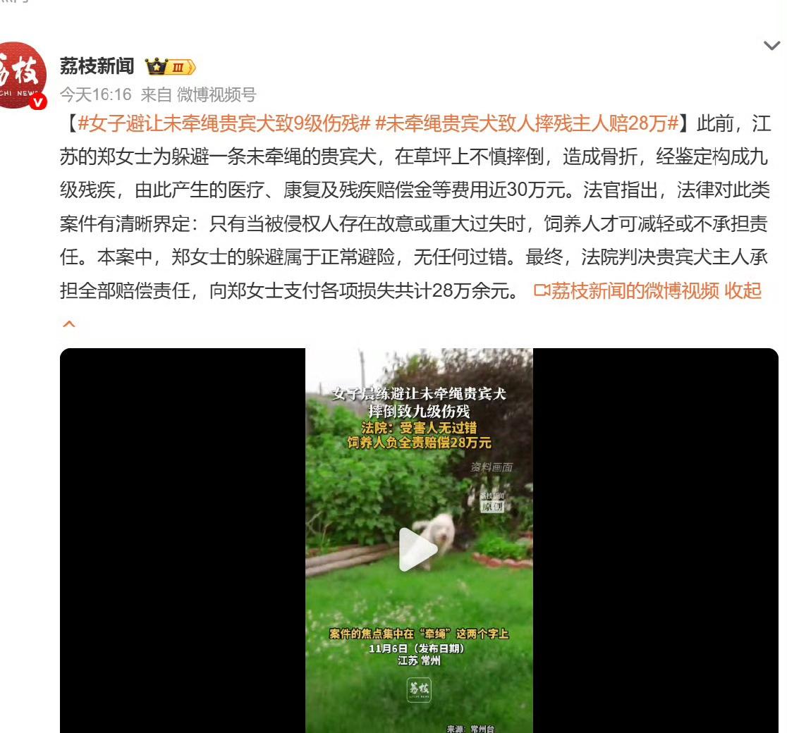 女子避让未牵绳贵宾犬致9级伤残两个人都好惨，郑女士又无辜又惨，大家吸取教训吧，一
