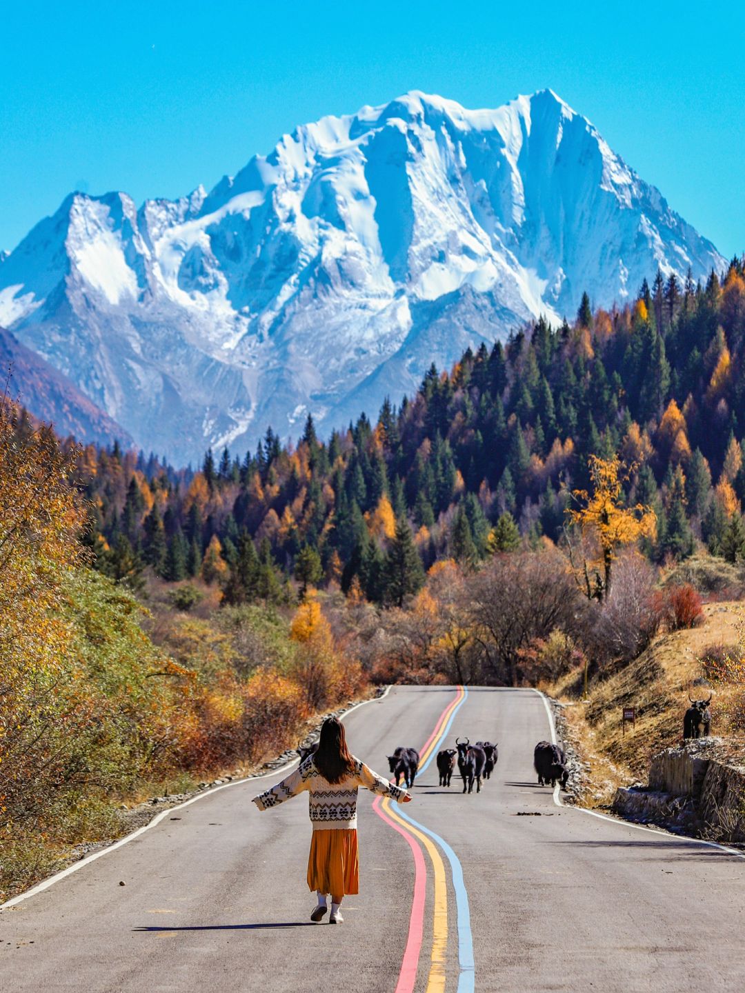 川西🏔️在离雪山最近的地方，感受秋日浪漫🍂