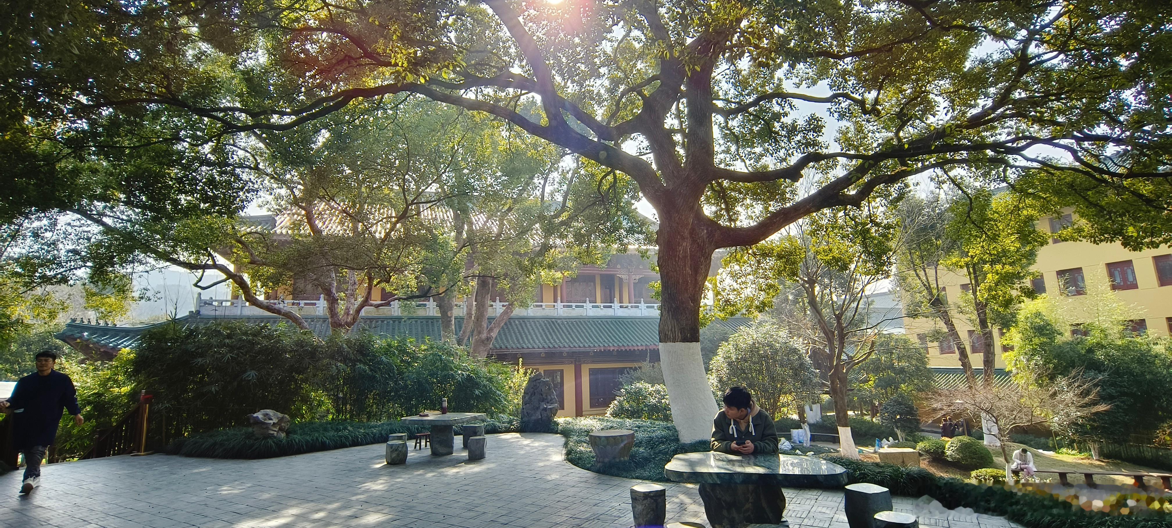 江西九江  东林寺（八） 