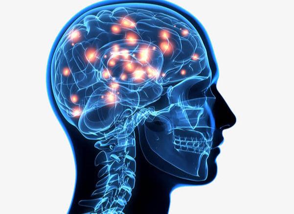 脑神经作为人体核心的信号传导组织，时刻参与人体的各项基础活动，日常的呼吸感知肢体
