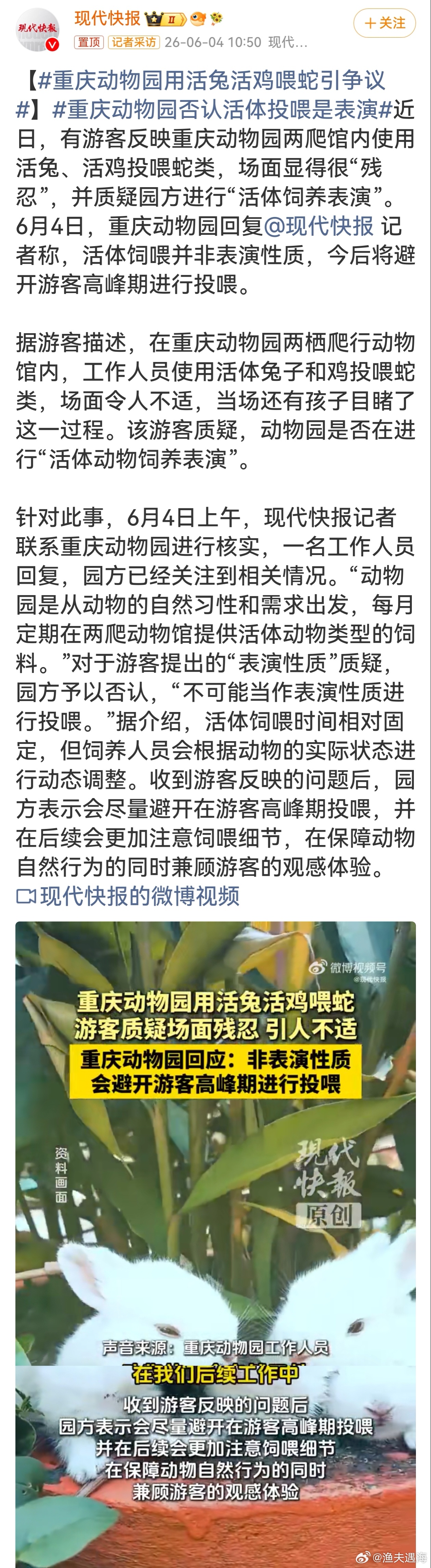 重庆动物园用活兔活鸡喂蛇引争议从动物保育角度能理解蛇类需要活食贴合天性，但当着大