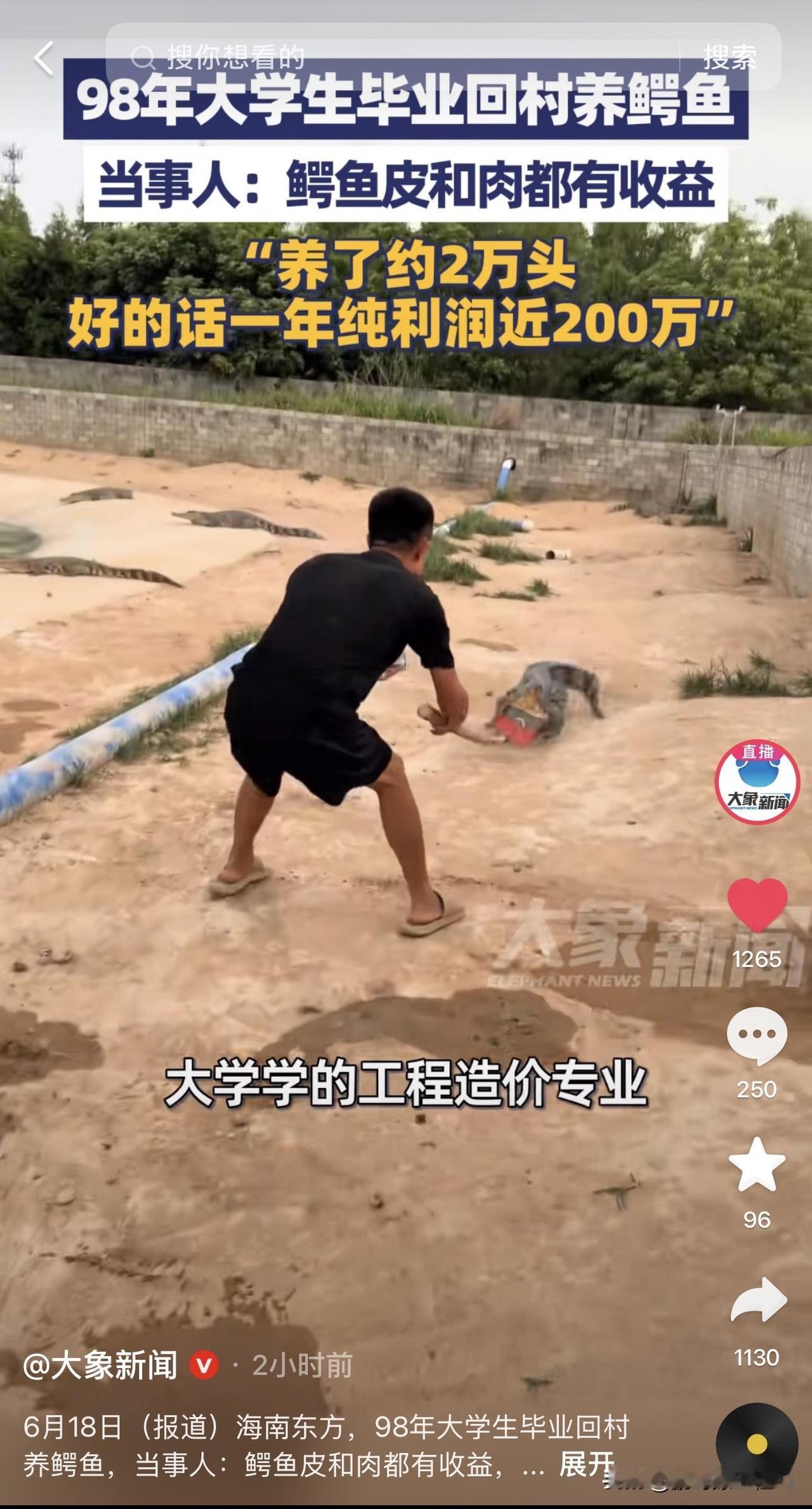 工程造价转行养鳄鱼年入200万！以前算漏了扣工资，现在漏了要喂鳄鱼！
98年海南