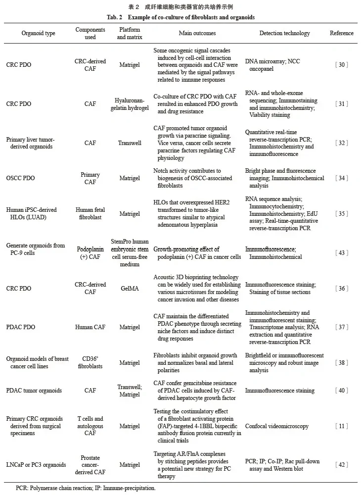 成纤维细胞与类器官共培养应用文献