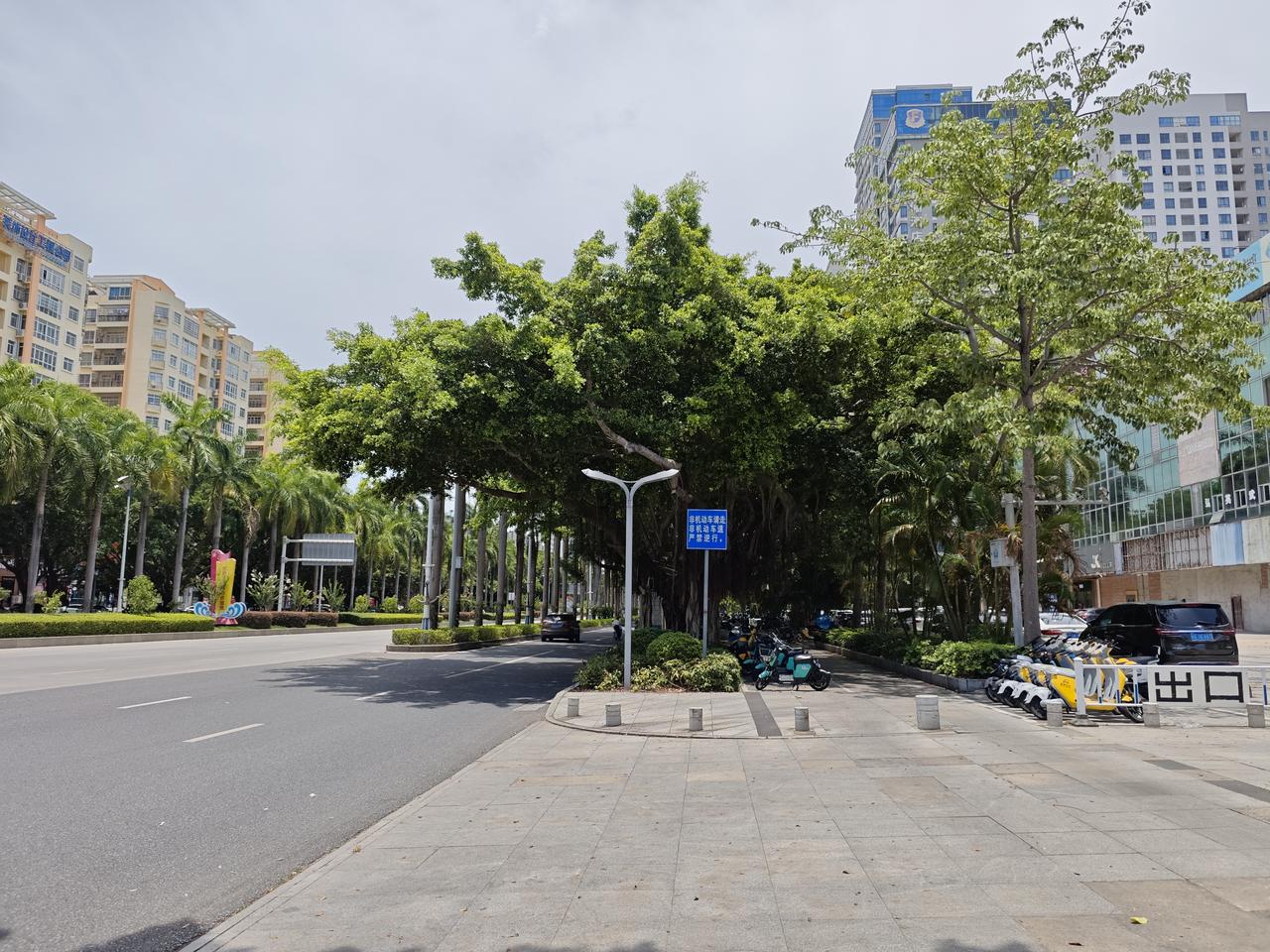 鲁豫在《岩中花述》对话张春时，戳破了很多人对“幸福”的执念：幸福从不是生活的必需