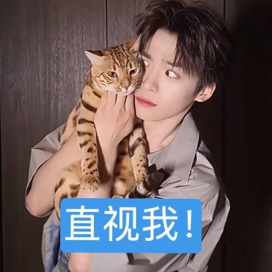 我要笑吐了 