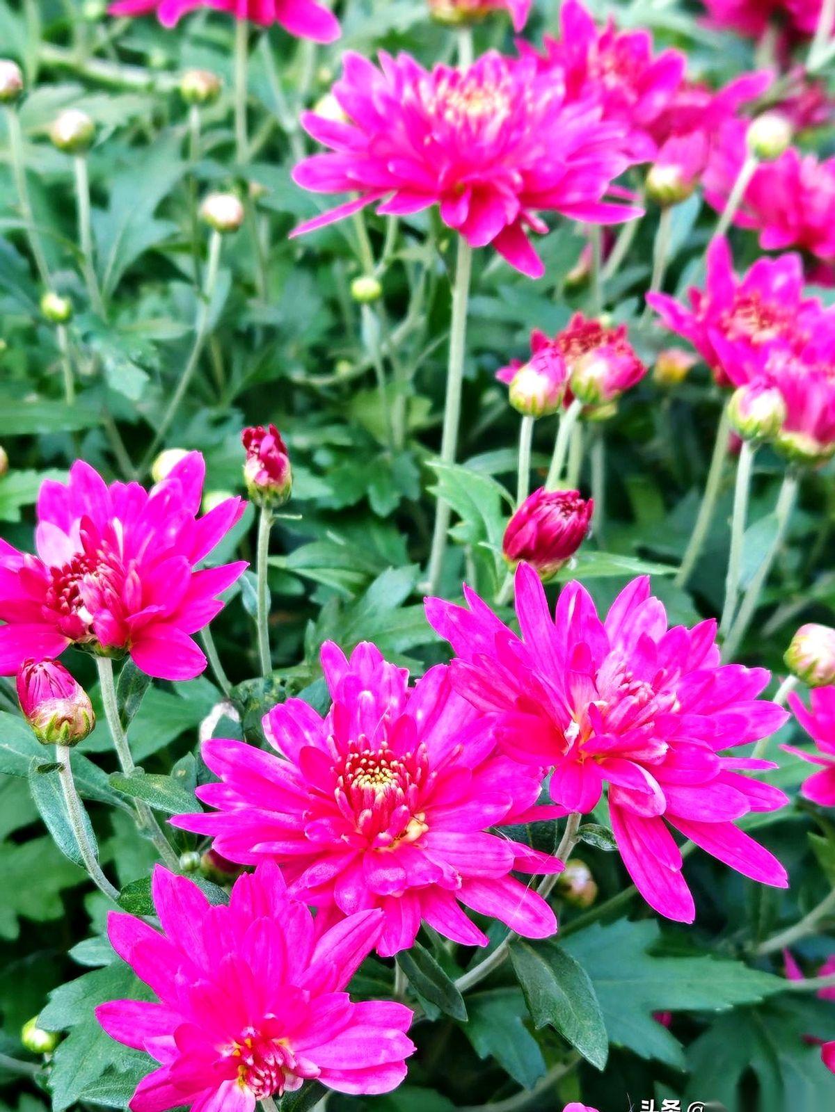 风吹春柳一提绿。
雨打夏荷满塘香。
看到这副对子，我愣了半天。
绝了。真的绝了。