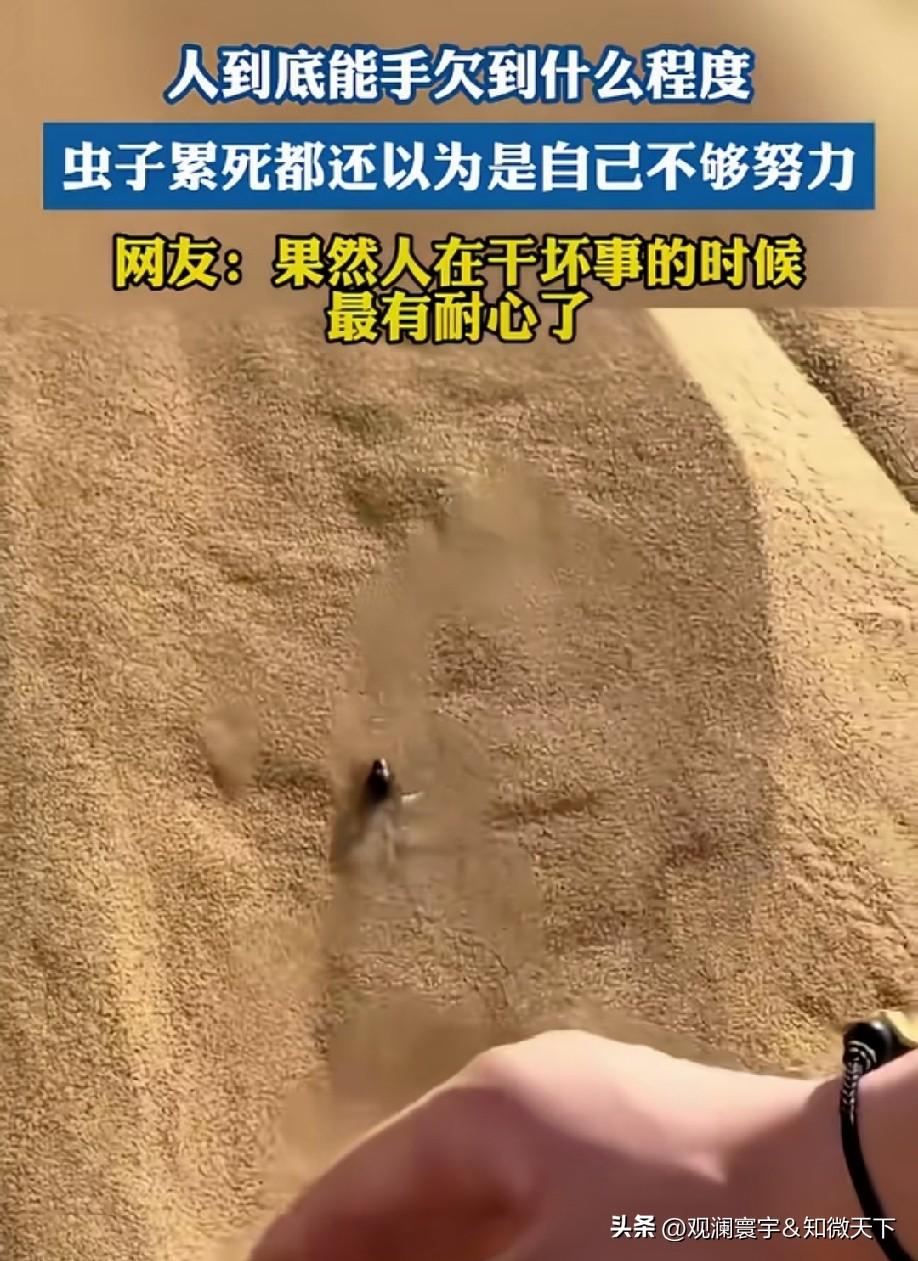 就像普通打工人的我们，一直都认为是自己不够努力！