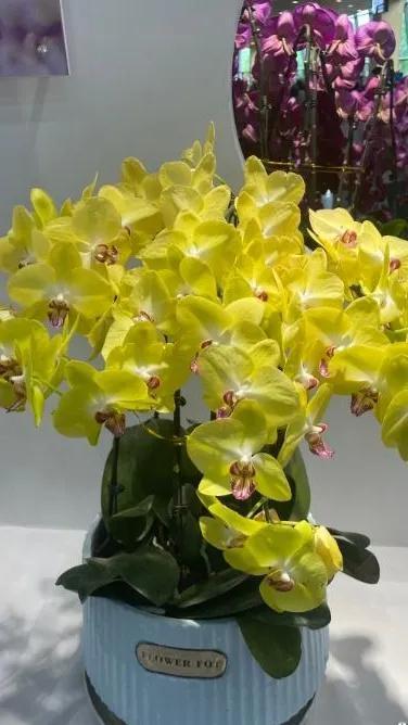 我们的国家总体发展是好的，但现实中仍旧有很多骗子，希望大家多加小心，注意防范。群