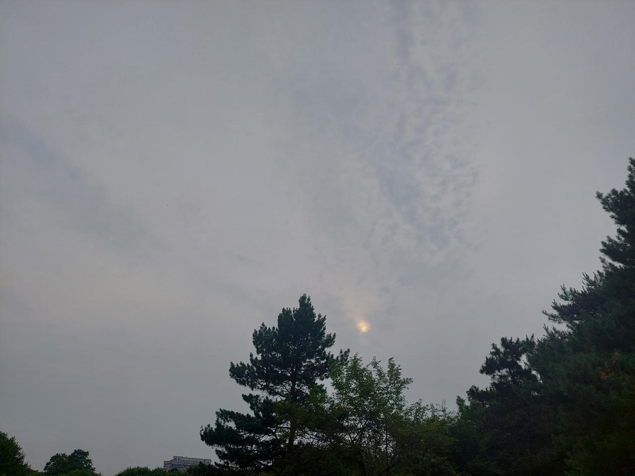 今早醒来的时候大约是 4 点半，但是我就记不得昨晚怎么睡的觉。

昨天下午和 G