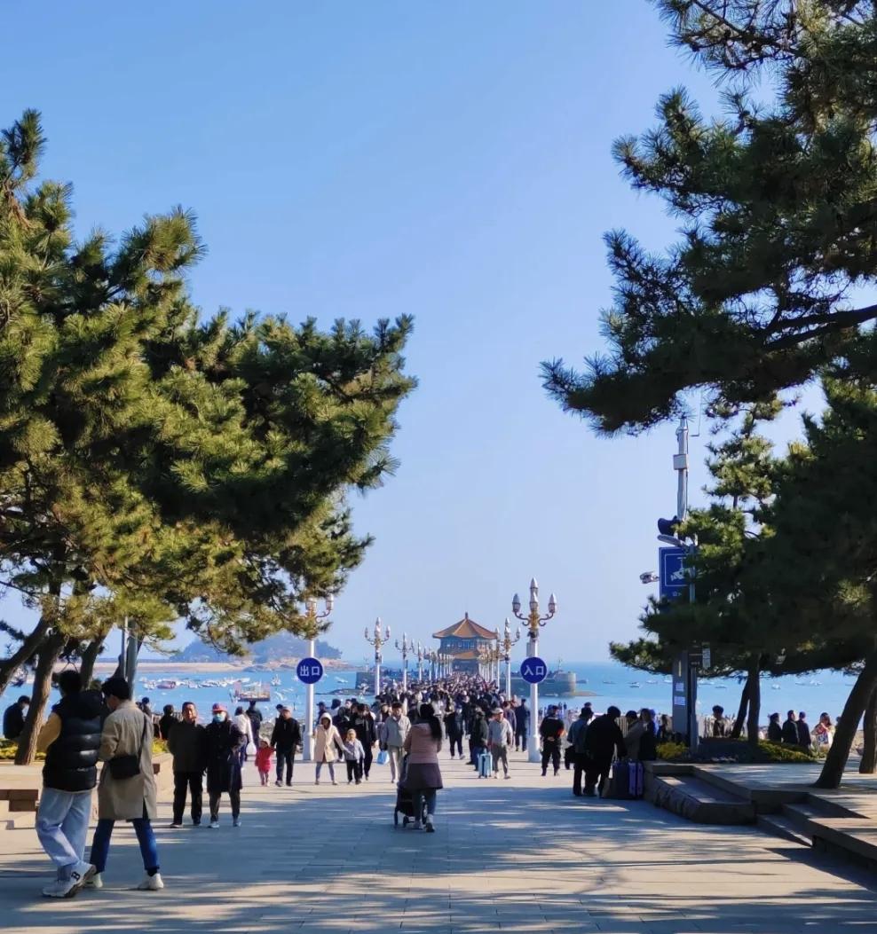 冬季的青岛有了海鸥的加入，会显的特别浪漫。栈桥附近看海鸥是非常不错的选择，附近的