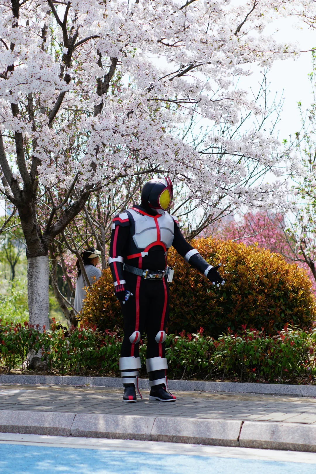 拍照好去处 淮安市樱花园🌸