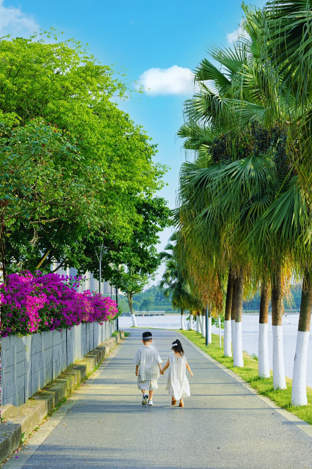 没去三亚🌴  就在成都，这个公园也太浪漫了~