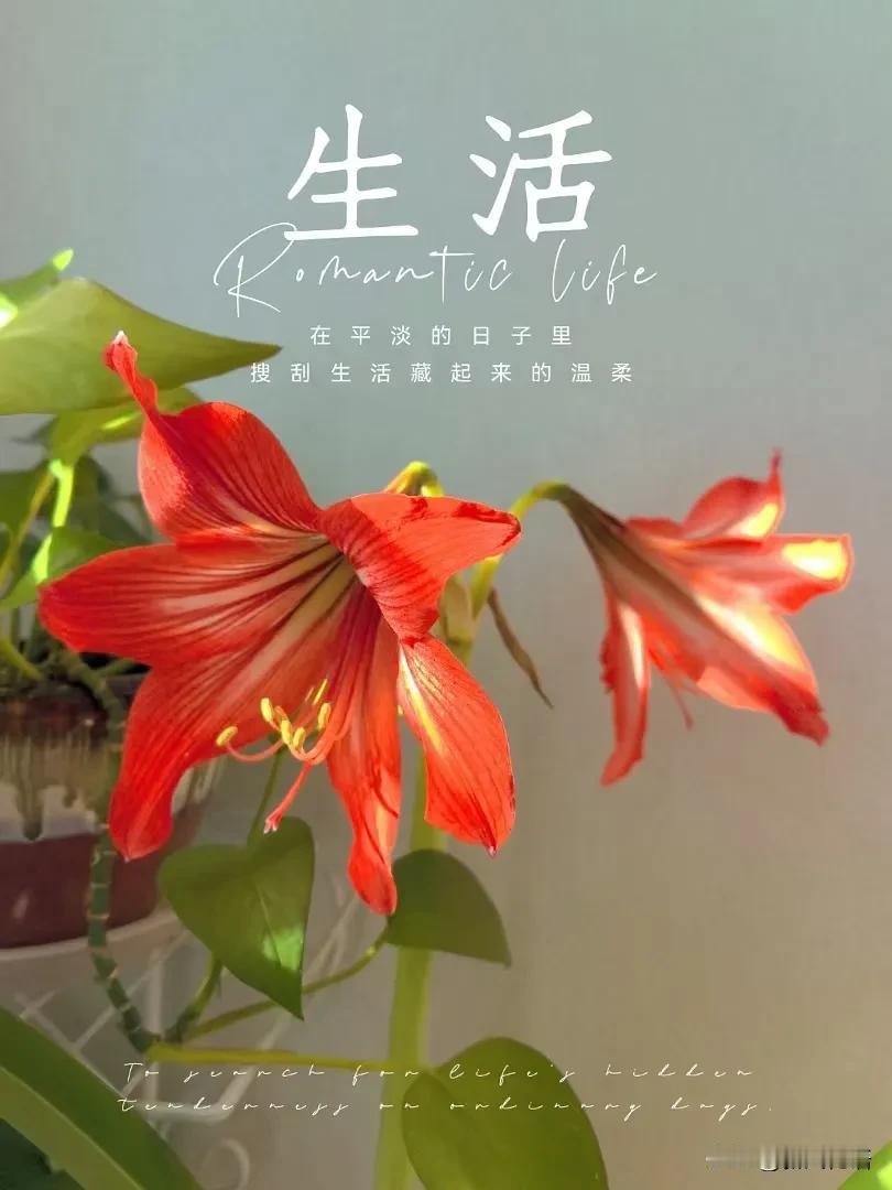 我要不要被催眠？[笑哭]

昨天，突然接到一位退休同事的消息，她现在是一位心理咨