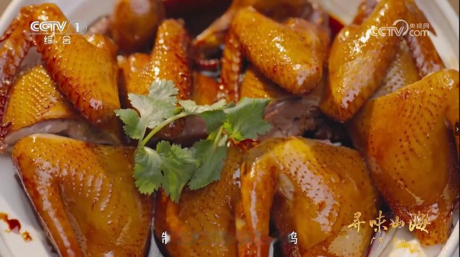 来中山，不吃一次石岐鸽等于白来！  
这里的鸽子可不一般——五桂山下，温润气候让