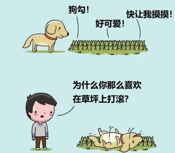 草坪也想摸摸狗勾[微风] ​​​