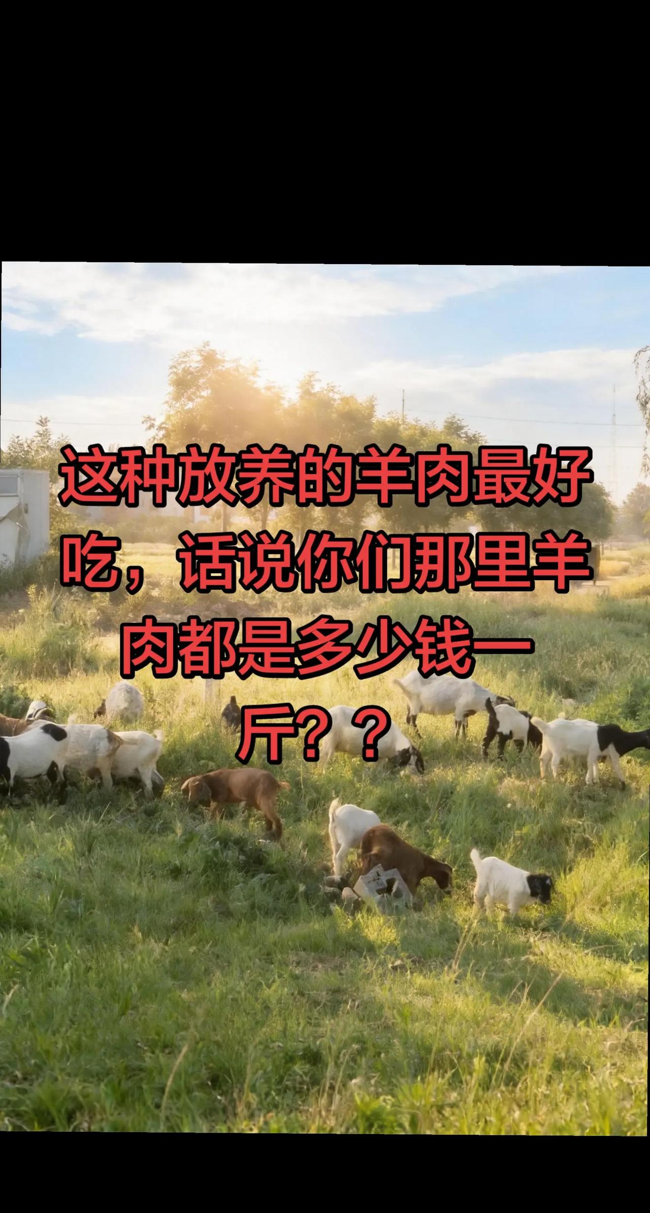 我的图片 ai创作 热门 上热门 小助手