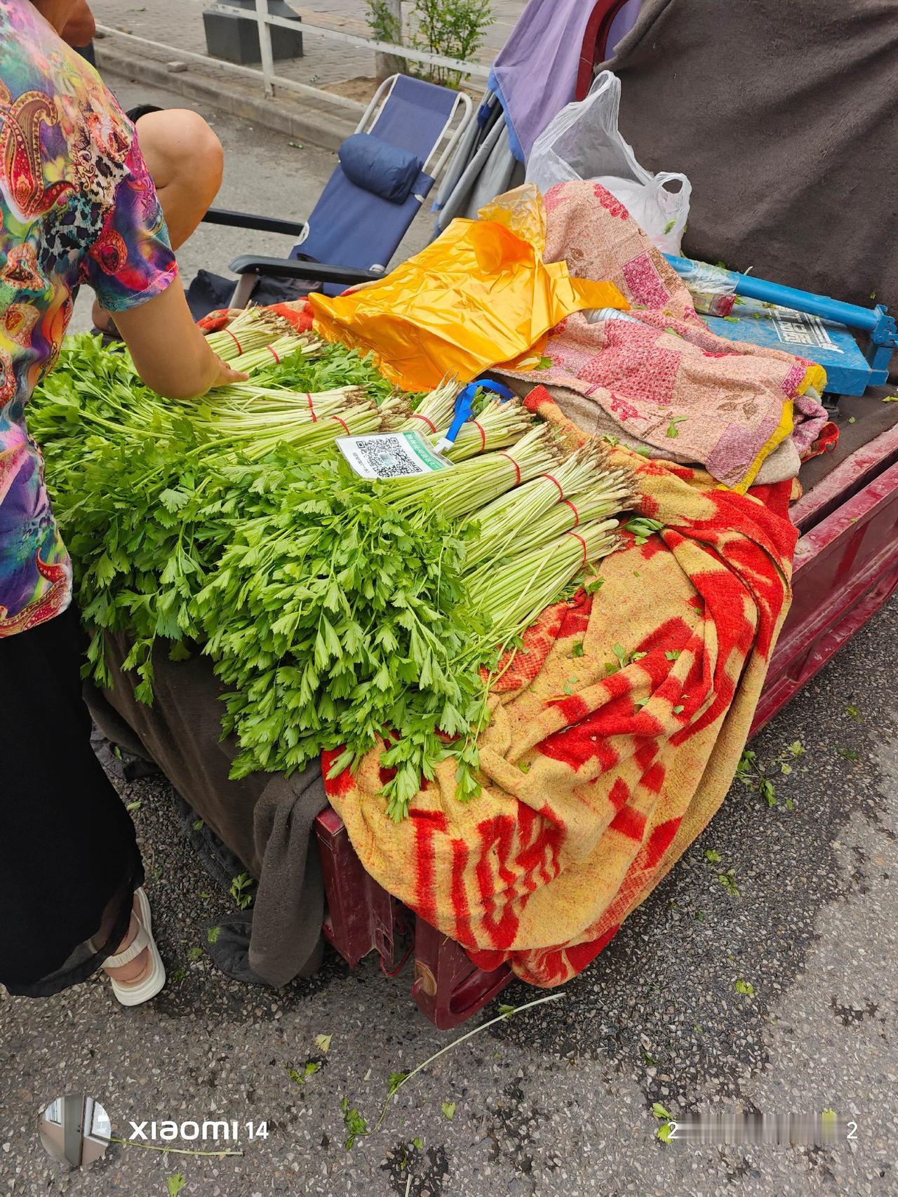 感觉住在小城市有小城市的好，6毛钱的西瓜你敢想吗？1块5一把的芹菜。生活简直太富