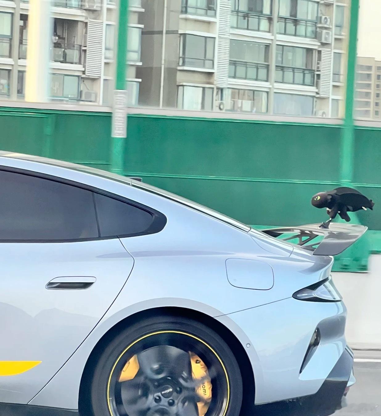 这太有节目了，大卫衣配上小乌牙，别说开起来以后真像飞起来了[允悲][允悲][允悲