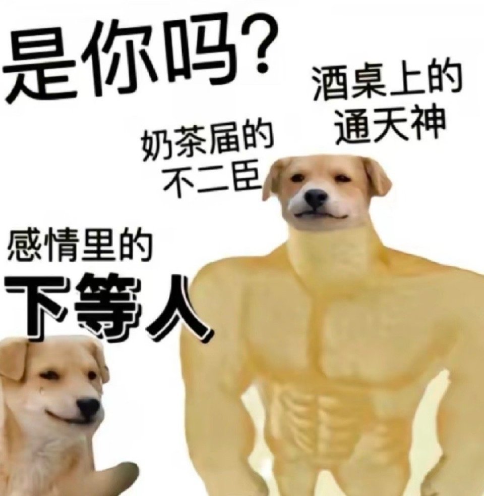 能说出玫瑰的故事是个人人都爱我的故事 这辈子才真要在爱海里浮沉了 ​​​