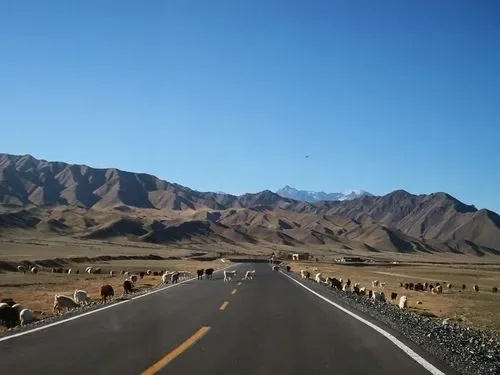 独库公路行——作文需要是多读，多感受