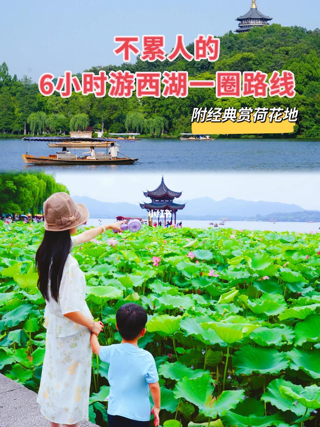 走了西湖9万步/才设计出夏天赏荷游一圈攻略