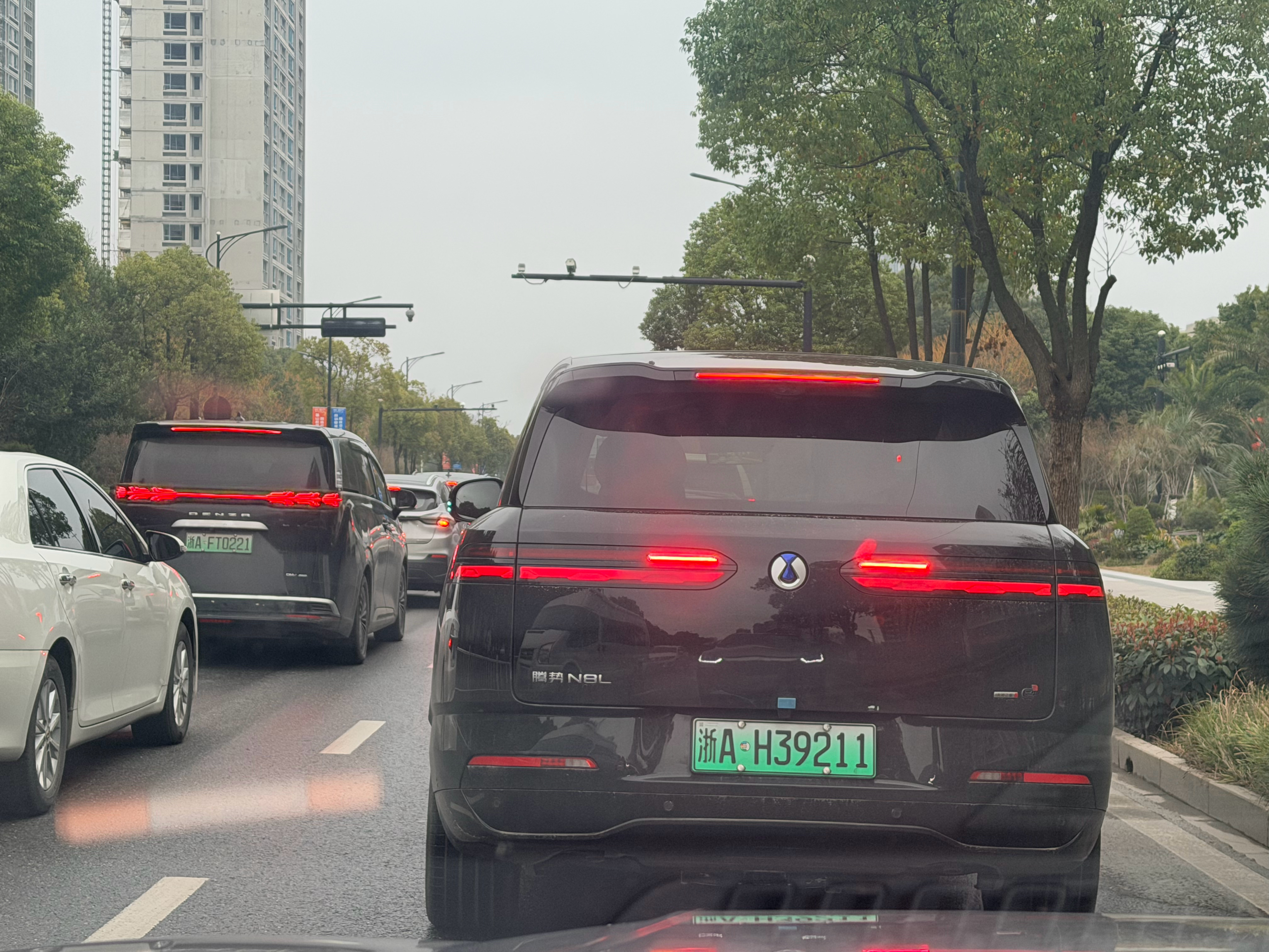 看到腾势家族两兄弟，必须来张合影，一看就空间很大，很宽体大v聊车