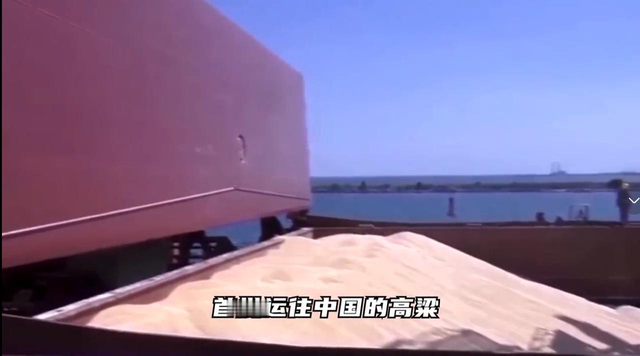 经过一段时间的贸易战，美国终于认识到影响的是自家生意，中国不购买美国大豆高粱受损