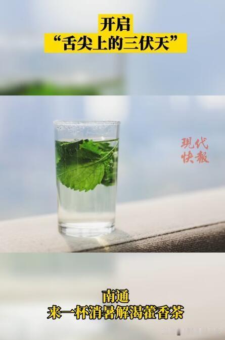 南通三伏天有什么饮食习俗？印象中“藿香茶”是必备的，本地产藿香叶子泡水，如果再加