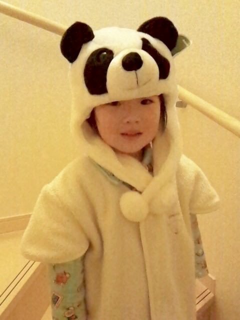 【twi】熊猫宝宝Sakuya的进化过程🐼 ​​​