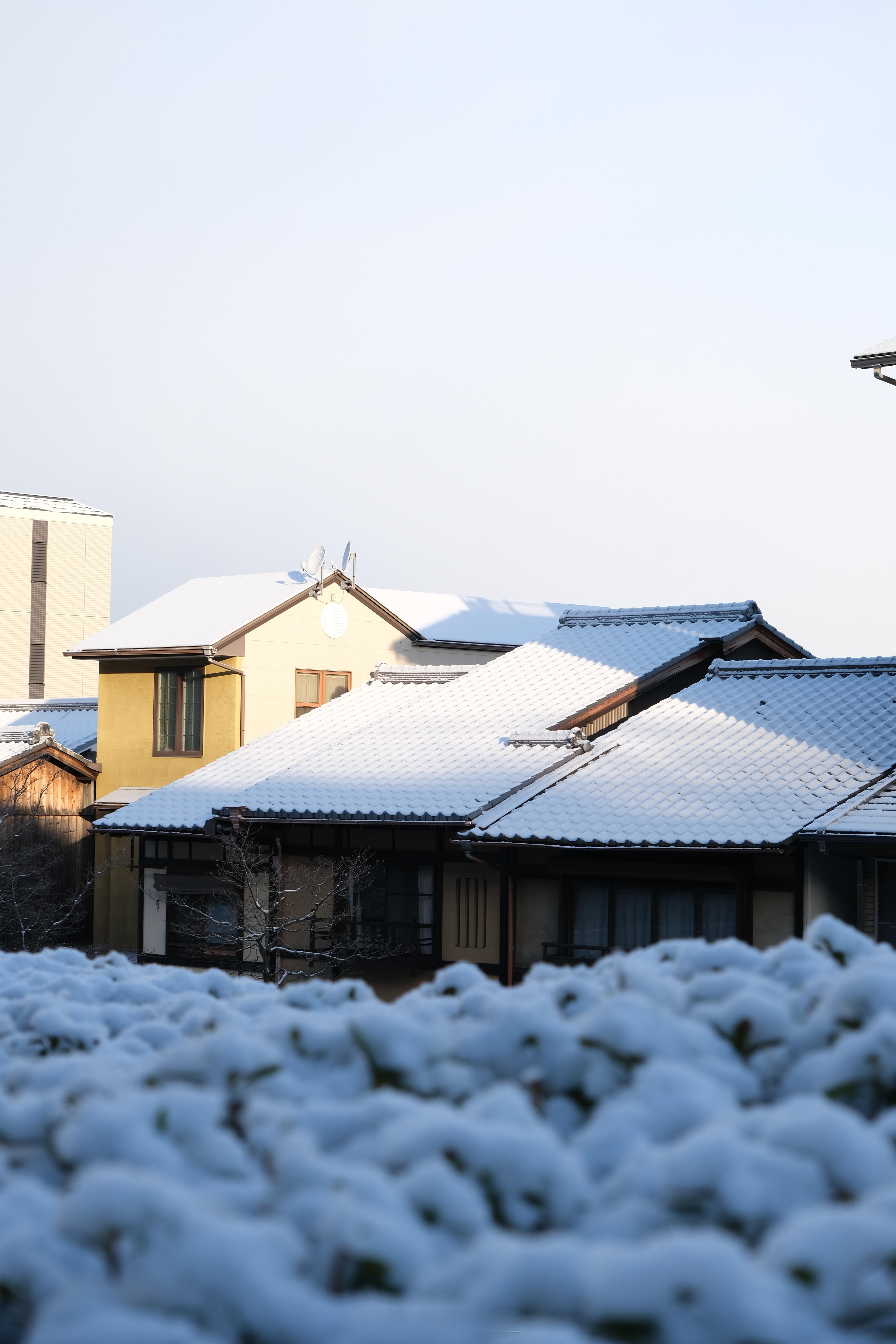 清晨拉开窗帘，一片白！！成就了旅途的高光时刻❄️❄️❄️ ​​​