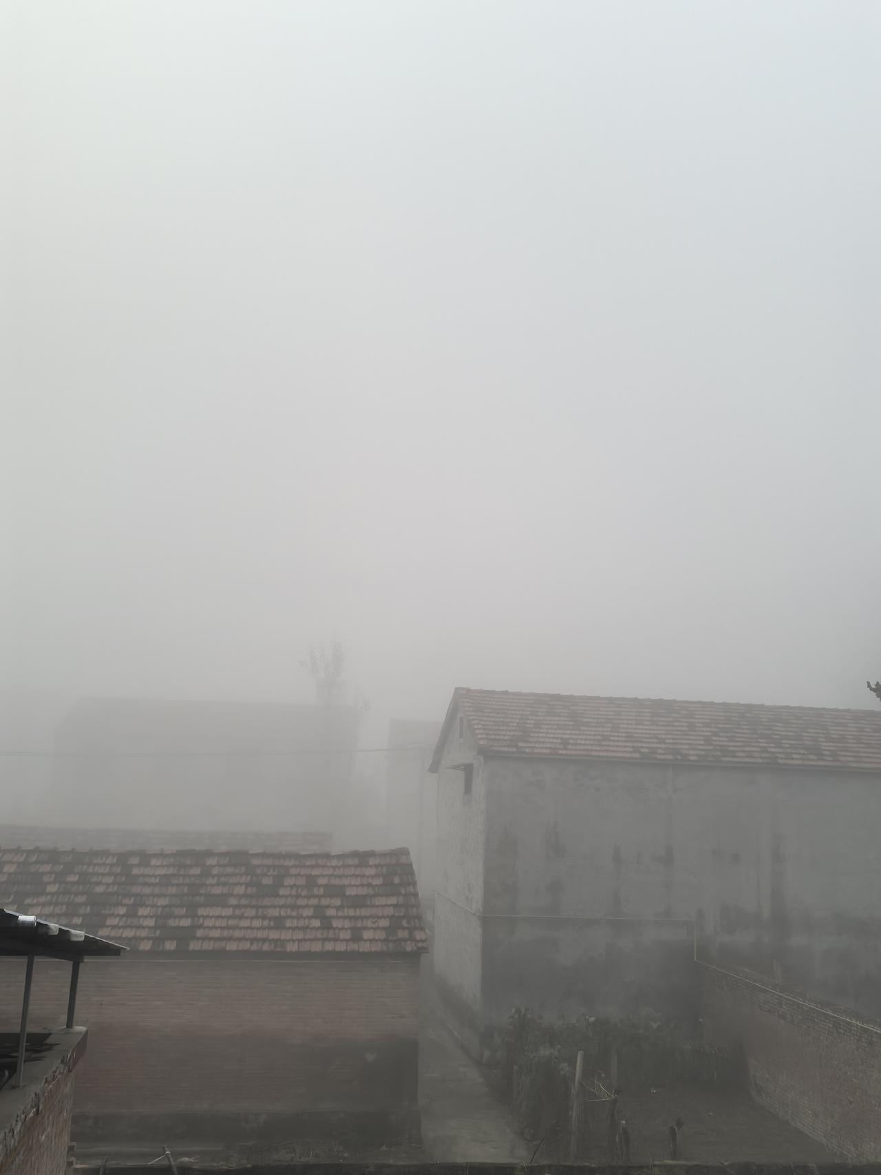 周末的心情：从“躺平王者”到“状况百出”的大型翻车现场。本来以为周末能当回“躺平