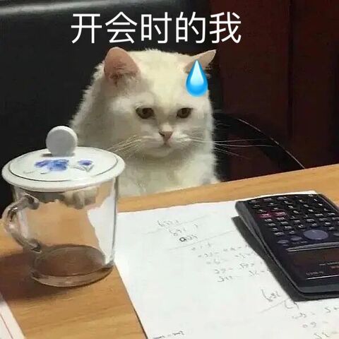 好真实的，我开会我就这样看着他们 