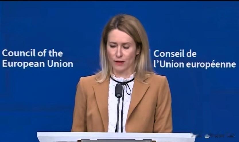 谈到乌克兰反腐调查时，轻描淡写。她认为反腐机构调查的开展恰恰证明乌克兰的反腐机构