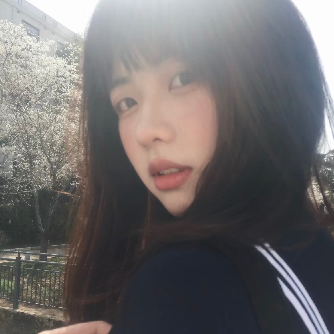 “尽你所能 敬你所不能” ​​​
