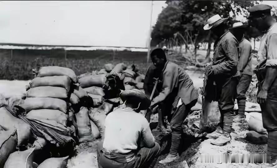 1948年深秋湖北前线，国民党溃兵像没头苍蝇一样往南逃。一个陕西汉子趁乱撕掉帽徽
