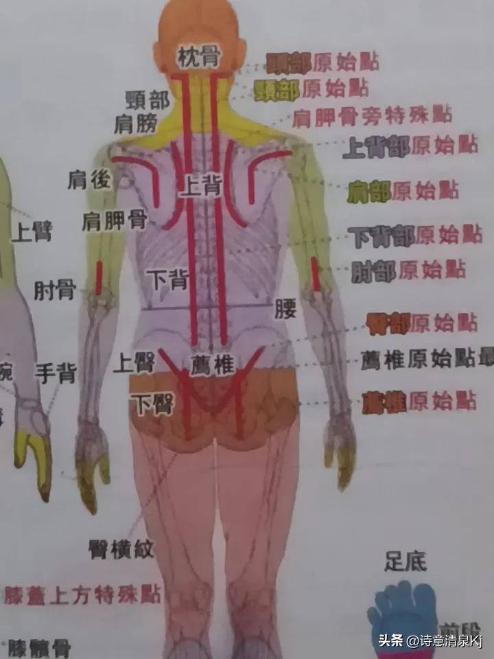 中医推拿真的很神奇！我爱人有一天晚上夜起去侧所，感觉眼前发黑，天地转动，头昏目眩