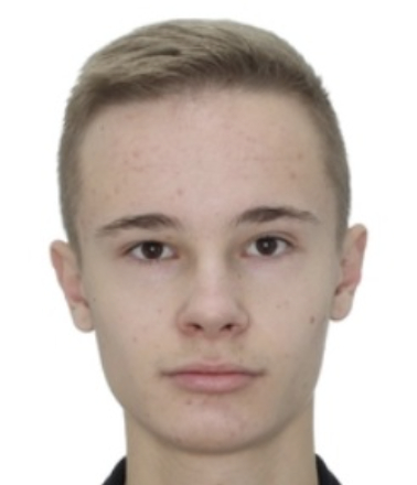 乌克兰一副市长之子遭虐杀今年11月底，奥地利维也纳发生了一起汽车纵火谋杀案，两名