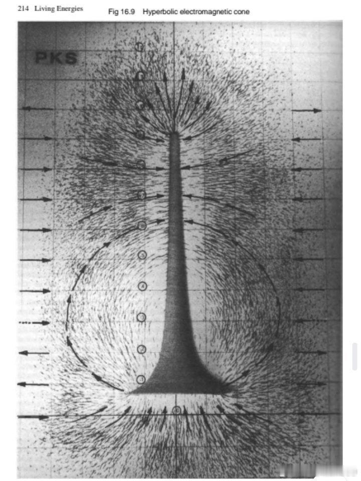 维克托·绍伯格：“树木是地球的天线，将宇宙能量（磁电效应）导入土壤，并将其转化为