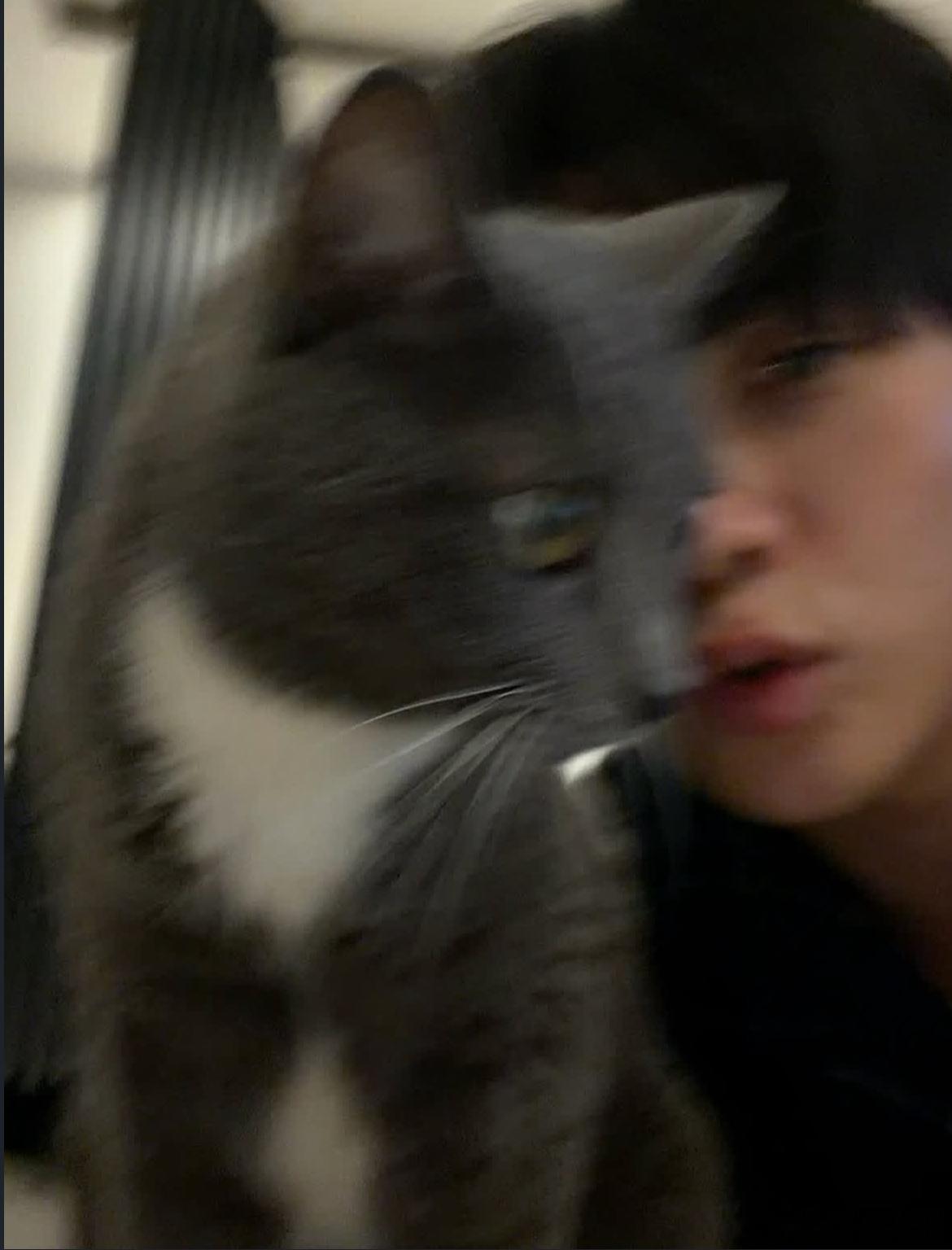检察官的提案  幸福的猫猫🐈⬛🐈⬛🐈⬛ 