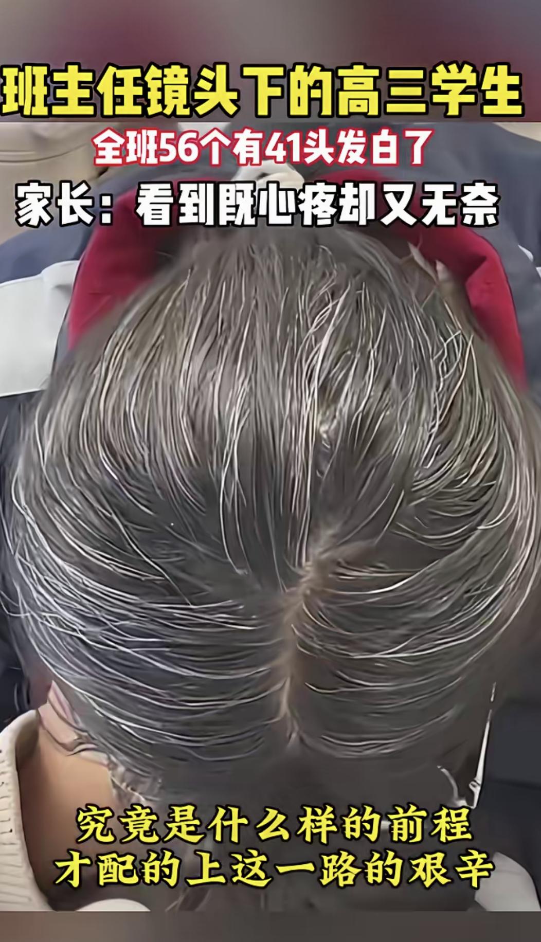 一个高三班级56个学生，有41个头发白了……

我一中年男人看了都快流泪了，十七
