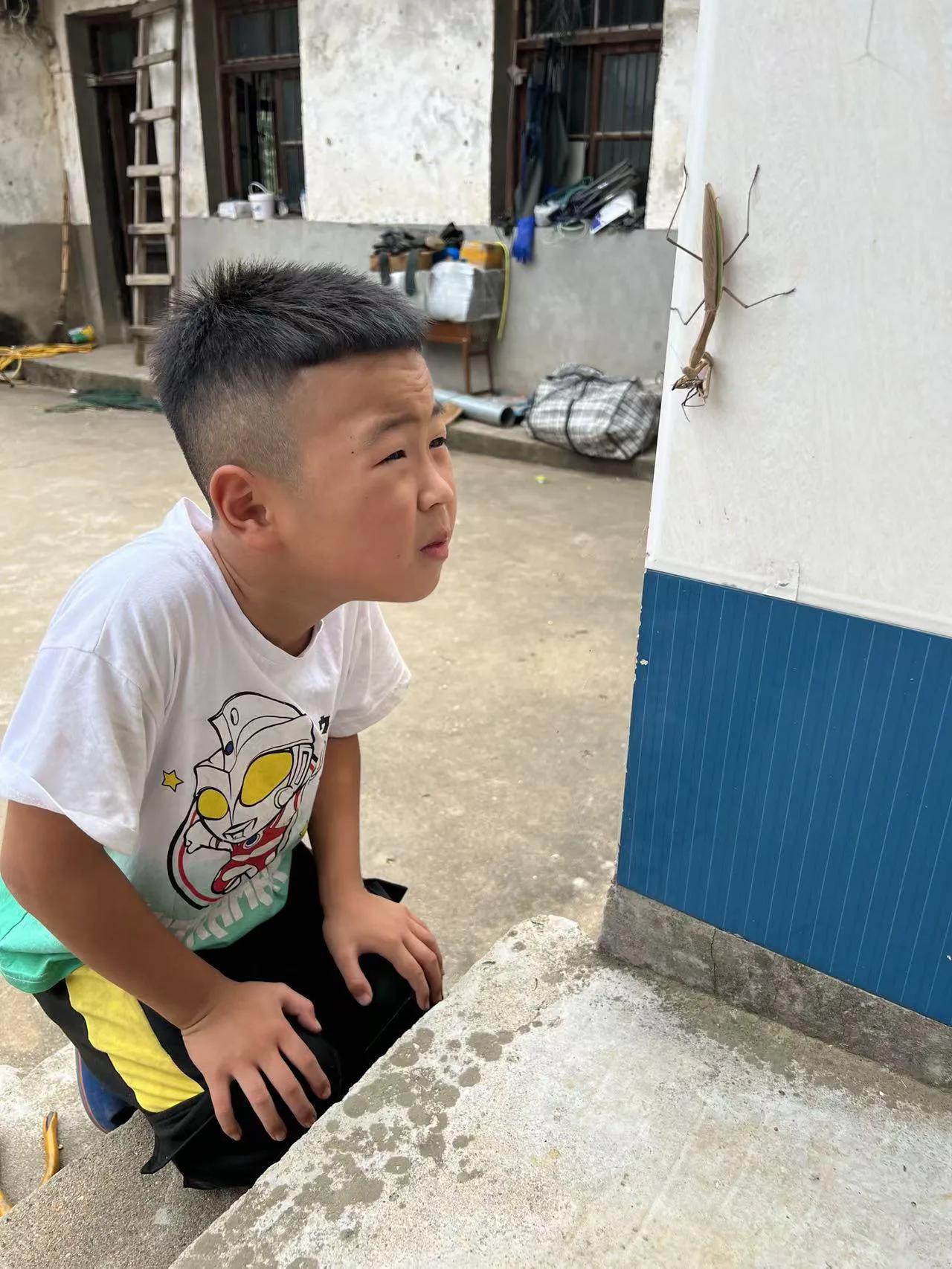巨型螳螂大战剧毒花蜘蛛，两大顶级掠食者到底谁胜谁败?
我家养了一只巨型螳螂大概有