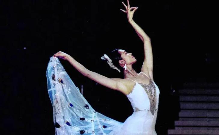 和杨丽萍离婚20年，富豪前夫突然回心转意，只要是你没孩子也行！[嘘]

舞蹈艺术