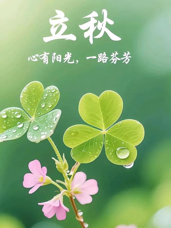 今日迎来立秋节气。立秋有吃什么的风俗？
民间有“啃秋”的习俗，吃西瓜或香瓜，“啃